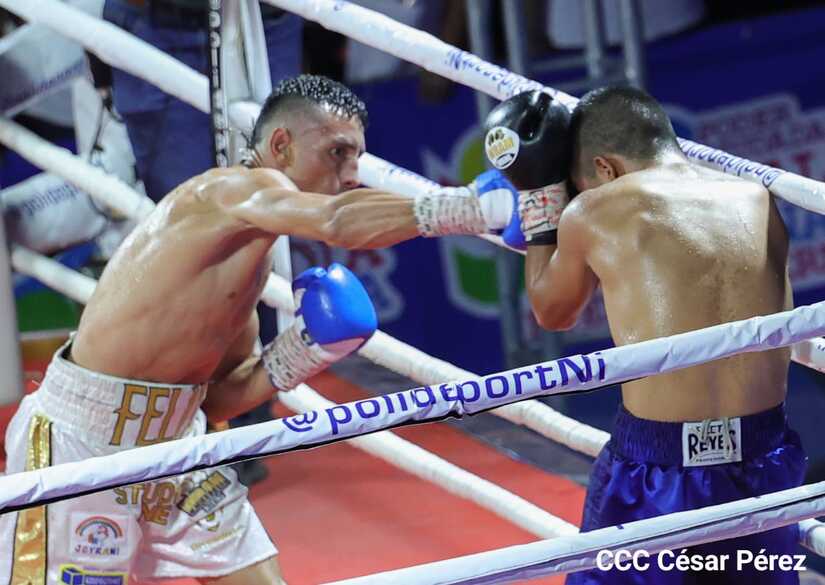 boxeo